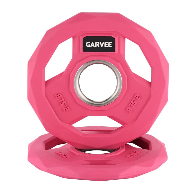 Color Rubber Coated Weight Plates 2-Inch, 2.5-45 LBS