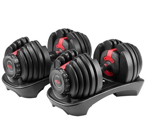 Bowflex SelectTech 552 adjustable dumbbells, a pair that replaces many fixed weights