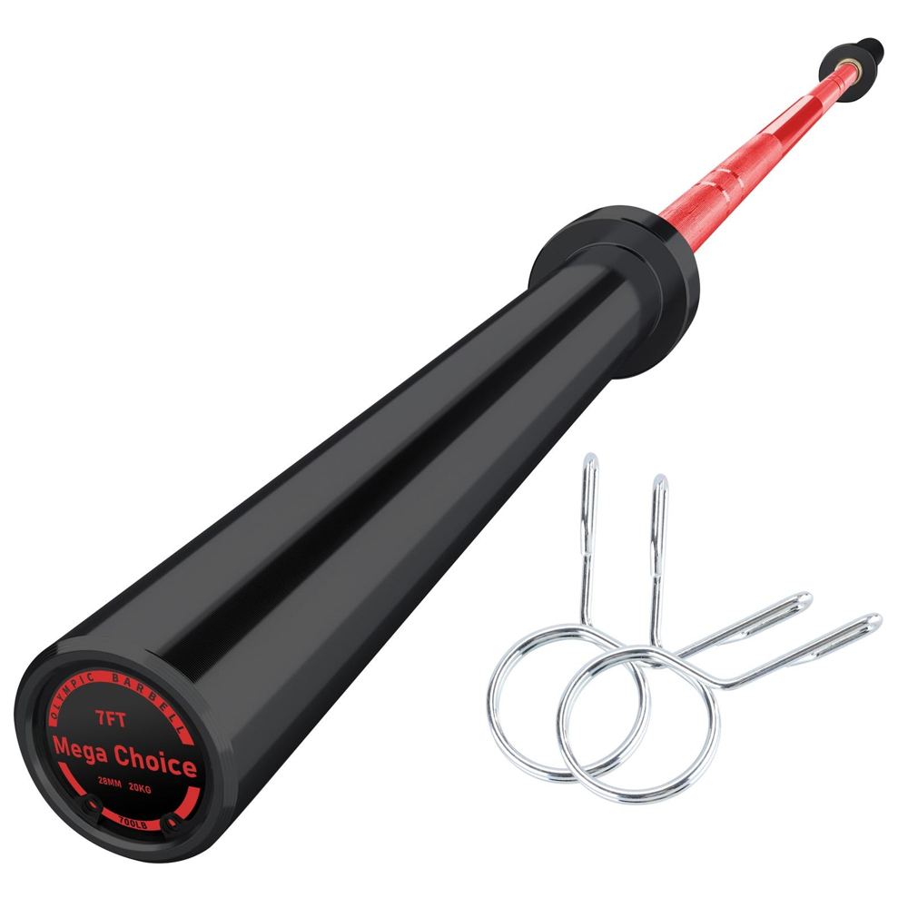 Olympic barbell for learning the fundamental lifts